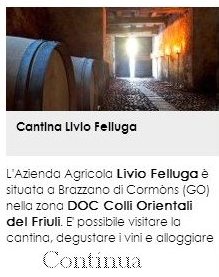 Cantina Livio Felluga