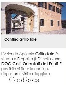 Cantina Grillo Iole