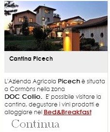 Cantina Picech