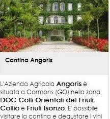 Cantina Angoris