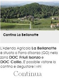 Cantina Bellanotte