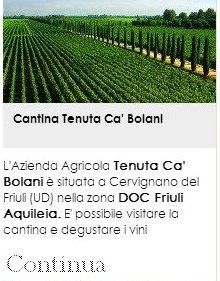 Cantina Trenuta Cà Bolani 