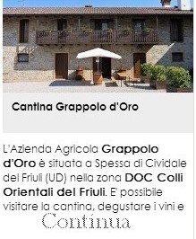 Cantina Grappolo D'oro