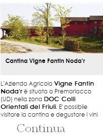 Cantina Vigne Fantin NodÃ r