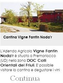 Cantina Vigne Fantin Nodàr