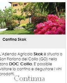 Cantina Skok