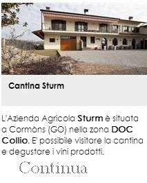 Cantina Sturm