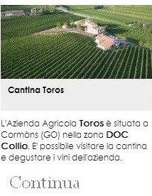 Cantina Toros