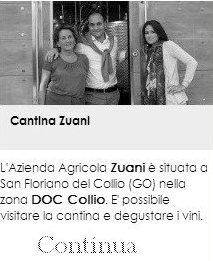 Cantina Zuani